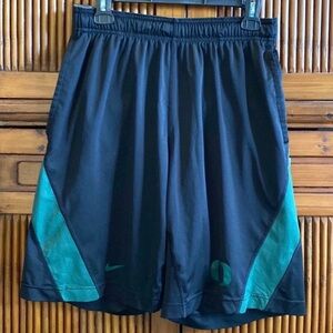 Nike Mens University of Oregon Dri-Fit Shorts